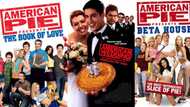 The best American Pie movies ranked