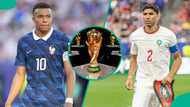 Mysterious cat predicts France vs Morocco 2026 FIFA World Cup quarter-final match