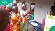 Anambra’s ballot bazaar: Nigeria’s political economy of vote-buying