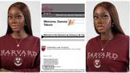 Nigerian lady gets admitted to Harvard Law School class of 2024, set to study for her master's degree in USA