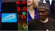New report shows Nigerians lose N90.7million per hour since Twitter ban