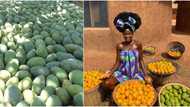 Stunning photo of African lady posing with mangoes get men drooling as many want to meet her