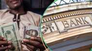 “Expect it”: UK firms predict new naira to dollar exchange rate in 2024