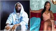"Chef Chi is working": Reactions as Davido reportedly unfollows 2nd baby mama, Hailey's mum Amanda
