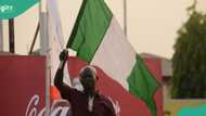 Nigeria at 64: The story behind the design of the green white green flag