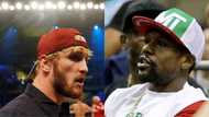 Logan Paul mocks Mayweather, makes statement that will annoy the American ahead of boxing fight