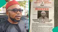 ADC new factional leader was once declared wanted, eventually arrested by police, reason emerges