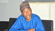 Akwai rainin hankali a lamarin garkuwa da mutane a hanyar Abuja zuwa Kaduna – Shehu Aljan