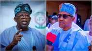 Kitimurmura: Jerin Manyan Matsaloli 5 da Ke Jiran Tinubu da Zarar Ya Karbi Buhari