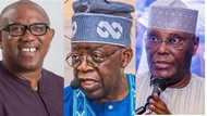 Atiku, Obi Vs Tinubu: Yadda Zaman Kotun Zabe Ke Gudana Kan Babban Zaben 2023 Kai Tsaye