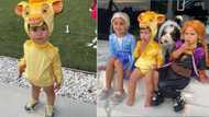 Cute video of little boy dressed as Simba in Lion King gives peeps the feels online