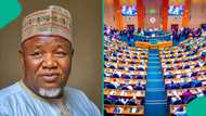 Bandits kill top top ex-Nigerian lawmaker as details emerge