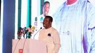 Anyim most detribalised, patriotic leader in Senate, says Mike Ozekhome