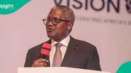 Dangote Refinery plans additional 30% share sale as investors rush IPO