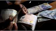 Bureau de change President, Aminu Gwadabe, says CBN forex ban won't stop them from selling dollars