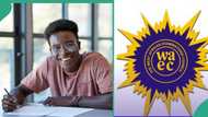 WAEC result out: Reactions as WAEC releases 2024 WASSCE scores for students to check in portal