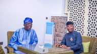 2023 elections: Actual reason Osinbajo visited Tinubu in Abuja, APC sources speak