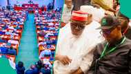 ADC vs NDC: Full list of senators, reps who have resigned after Obi/Kwankwaso's decision
