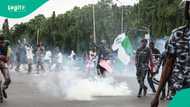 Nigeria Independence Day 2024: List of states where protests were held