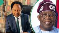 Economic hardship: Shehu Sani speaks on whom Tinubu should listen to between IMF and AfDB