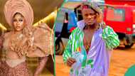 "I don't want a quiet man": BBN's Phyna lists 'Shallipopi's vibes among criteria for dream husband