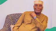 Lagos-Calabar coastal highway: Why Atiku can't accuse others of corruption, group speaks