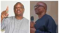 Why did Keyamo petition DSS to arrest Obi, Datti? Details emerge