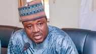 Stop your lies against me - AYCF's president Shettima cautions IPOB, others