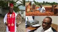 This is the Nigerian professor that helped build the famous Igbo village in the United States