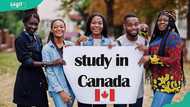 10 best Canadian scholarships for Nigerian students in 2026