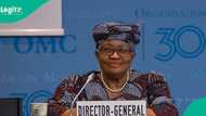 50m dollars global fund lands in Nigeria: Okonjo-Iweala backs women entrepreneurs in digital trade