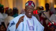 Tinubu Ya Fadawa Gwamnoni: Mun Tika Rawa, Munyi Kamfe Don Neman Wannan Aikin, Bamu Da Dalilin Yin Guna-guni