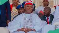 Mass wedding: Kano commences screening for additional 147 prospective couples