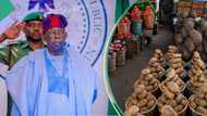 NSIPA: Activist makes one crucial request from Tinubu amid rising hunger, food insecurity