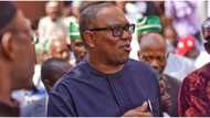 2023 presidency: Peter Obi speaks on federal borrowing, reveals how it should be spent