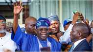 North Central APC organises prayer sessions for Tinubu ahead of May 29 inauguration