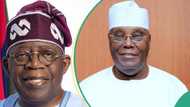 Download: Full text of US court judgement on Atiku's case against Tinubu