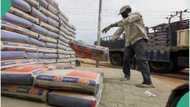 No More N14,000? New cement prices emerge as FCCPC probes dealers and manufacturers