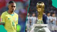 Brazil suffer blow as Raphinha considers quitting World Cup over financial crisis