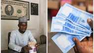 Naira exchange rate against US dollar rises above N700 at official market after CBN's devaluation