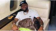 New cars, houses and private jets - Singer Davido highlights his goals for 2020
