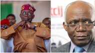 Details emerge as President Tinubu meets with Falana in Aso Rock over subsidy removal, economy