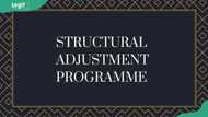 Structural Adjustment Programme in Nigeria: objectives, effects, and impact