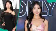 Evelyn Ha’s biography: What is known about the social media star