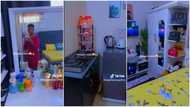 Beautiful lady redesigns her 1 room, turns it into a "palace" with new fridge, TV, cooker, fine cabinets