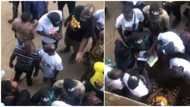 "We no dey give shi shi" fighting over ‘shi shi’: Keyamo releases video of Obidients arguing over money