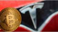 Tesla made more money from bitcoin than car sales in Q1 2021