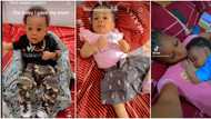Boy turned girl: Nigerian lady cries out over what mum did to little son she left with her, shares video
