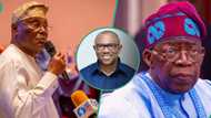 Atiku, Peter Obi vs Tinubu: PDP predicts possible winner at Supreme Court