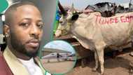 Tunde Ednut books jet, receives cows from Sabinus, others, N3m from Spyro, land ahead of birthday